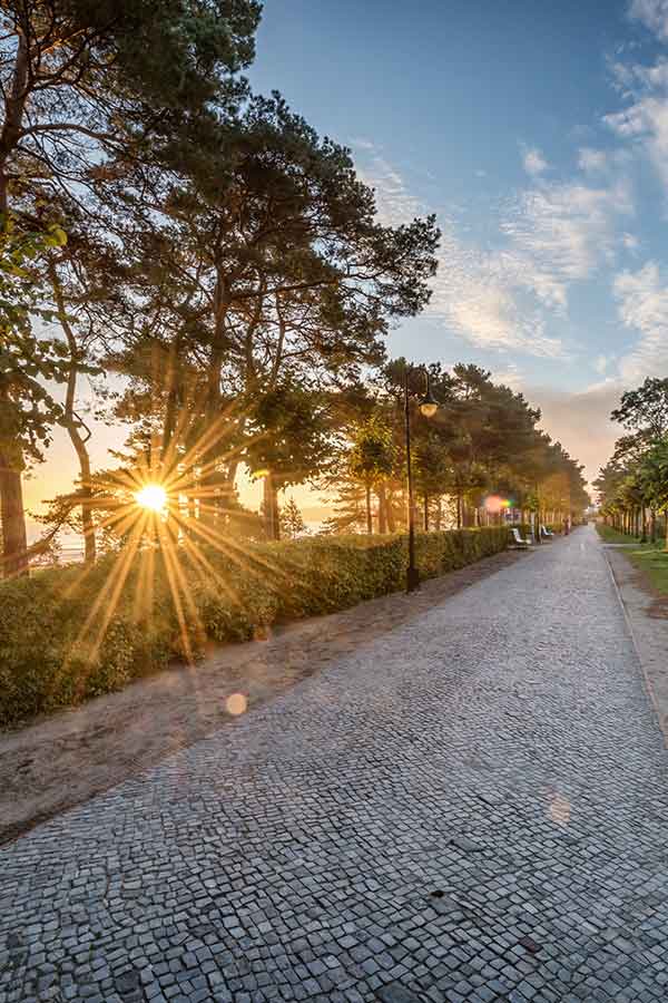 Arrangement Herbst Special Binz Sonnenaufgang