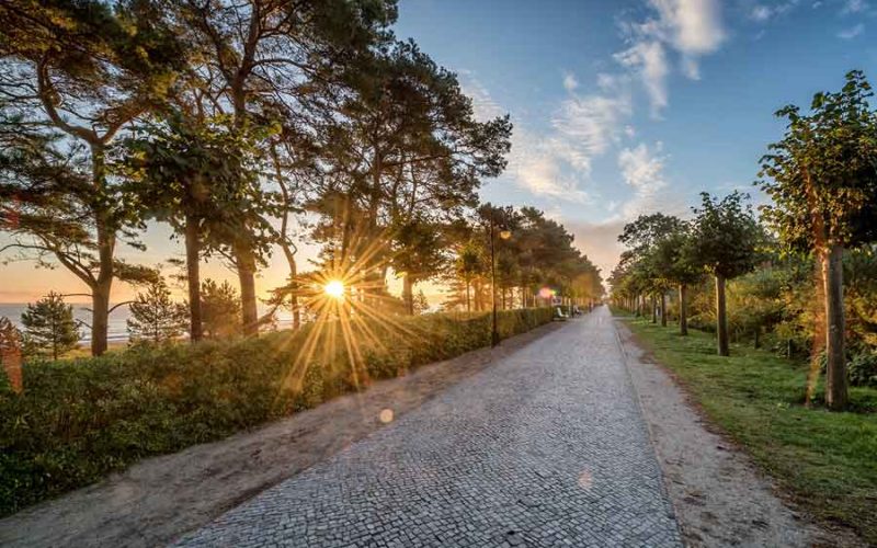 Arrangement Herbst Special Binz Sonnenaufgang