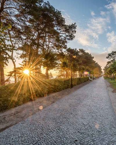 Arrangement Herbst Special Binz Sonnenaufgang