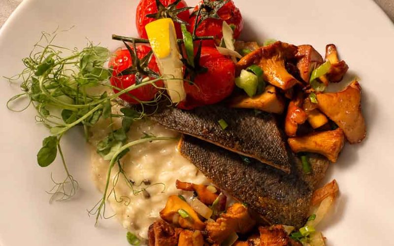 Pfifferlinge Lachsforelle Risotto im Restaurant Hotel Neander Saisonangebote